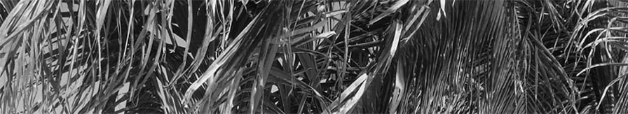 Avneet Sethi header image 3